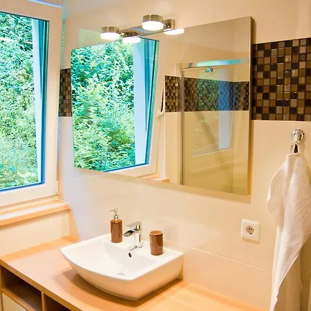 Michael - Zell Am - Kaprun Apartament *