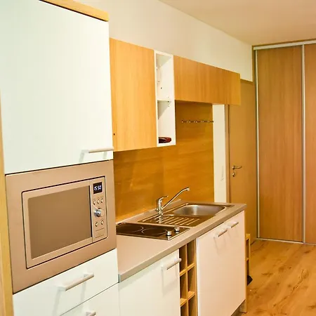 Michael - Zell Am - Kaprun 아파트 *