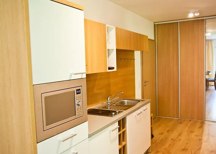 Michael - Zell Am - Kaprun Apartmán *